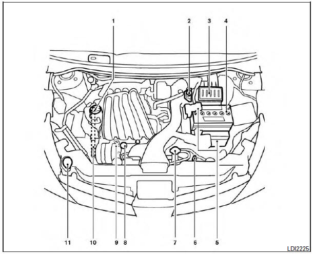 Nissan Tiida. Puntos de inspección en el compartimiento del motor 