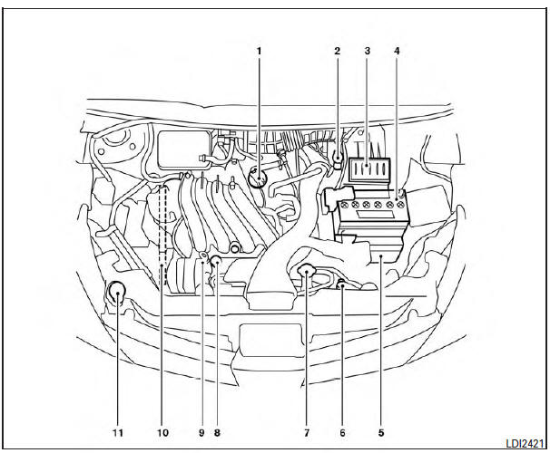 Nissan Tiida. Puntos de inspección en el compartimiento del motor 