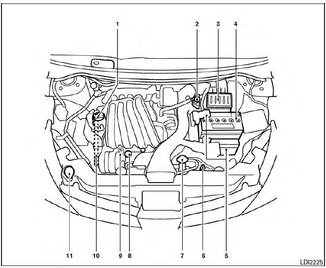 Nissan Tiida. Puntos de inspección en el compartimiento del motor