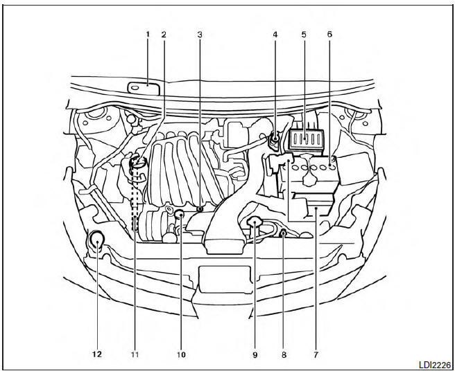 Nissan Tiida. Puntos de inspección en el compartimiento del motor