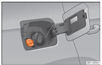 Seat Leon. Verificación y reposición de niveles