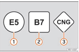 Seat Leon. Verificación y reposición de niveles