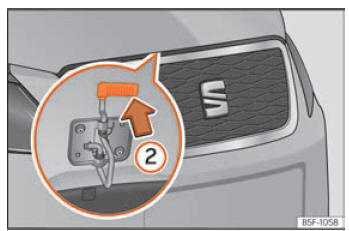 Seat Leon. Verificación y reposición de niveles