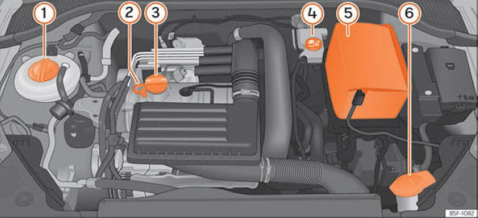 Seat Leon. Verificación y reposición de niveles